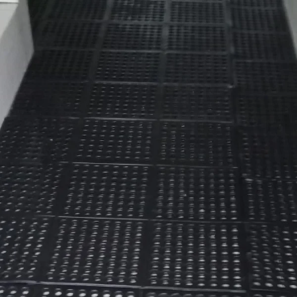 Karpet Bolong-Bolong