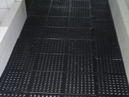 Karpet Bolong-Bolong